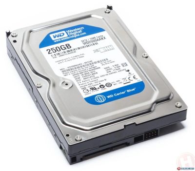 Лот: 4832392. Фото: 1. Жесткий диск HDD SATA3 Western... Жёсткие диски (HDD)