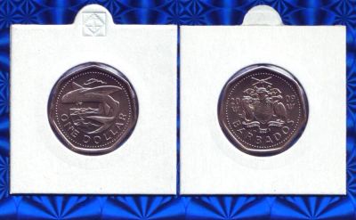 Лот: 19997461. Фото: 1. Монета - Барбадос 1 доллар (2009... Америка