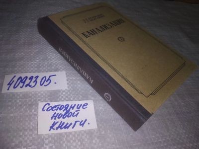 Лот: 24400577. Фото: 1. oz (4092305) Шигорин Г.Г., Демидов... Другое (наука и техника)