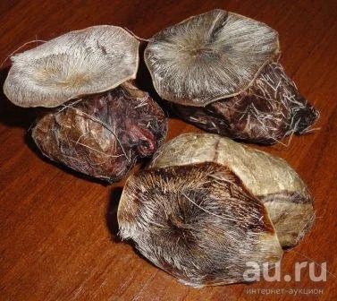 Лот: 15473905. Фото: 1. продам струю. Народная медицина, БАДы