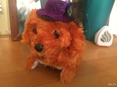 Лот: 8088899. Фото: 1. Игрушка собачка. Разбираем шкафы... Другое (игрушки)