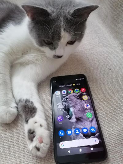 Лот: 17667943. Фото: 1. Xiaomi Mi A2. Смартфоны