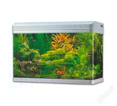 Лот: 2647908. Фото: 1. Большой аквариум Jebo R208. Аквариумы, террариумы