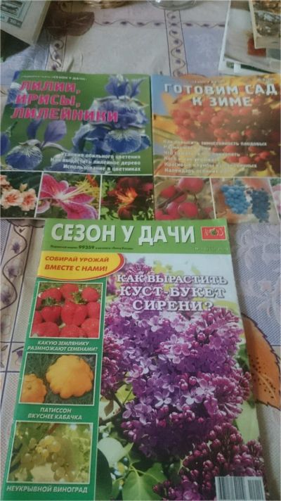 Лот: 9076012. Фото: 1. Лилии, ирисы, лилейники + Готовим... Сад, огород, цветы