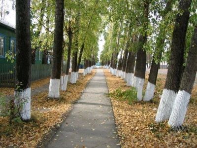 Лот: 1576267. Фото: 1. В красивом селе Тюхтет продается... Земельные участки
