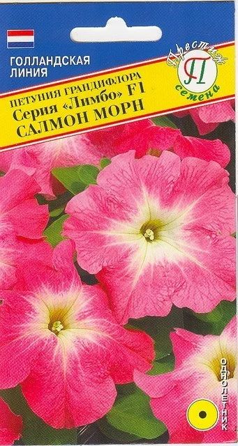 Лот: 9627653. Фото: 1. Петуния крупноцветковая Limbo... Садовые цветы