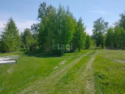 Лот: 25290415. Фото: 1. участок , ДНТ Озерки-3 ДНТ Озерки-3... Земельные участки