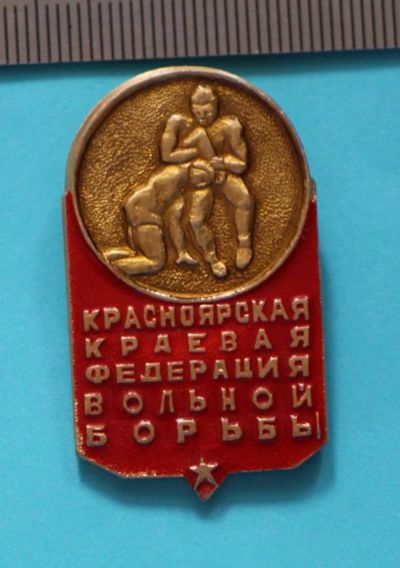 Лот: 9494474. Фото: 1. Знак: Красноярская краевая федерация... Сувенирные