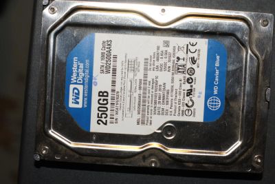 Лот: 7700515. Фото: 1. Жесткий диск WD Caviar Blue WD2500AAKS... Жёсткие диски (HDD)
