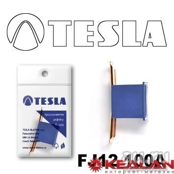Лот: 8599119. Фото: 1. TESLA FJ12 100A предохранитель... Расходные материалы