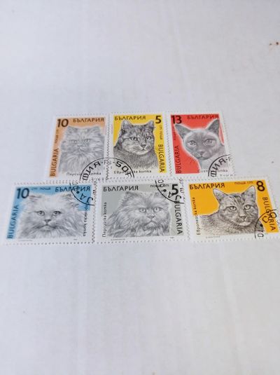 Лот: 24886756. Фото: 1. Марки 1989 г. Болгария. Кошки. Марки