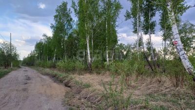 Лот: 25285846. Фото: 1. участок , ДНТ Большевик ДНТ Большевик... Земельные участки
