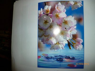Лот: 5007212. Фото: 1. фотообои "утренняя свежесть". Обои, панели, ДВП, ДСП, МДФ