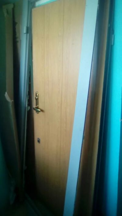 Лот: 7838207. Фото: 1. хорошая входная металлическая... Двери входные