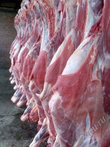 Лот: 2071706. Фото: 1. Мясо говядины тушами. Икра, рыба, морепродукты
