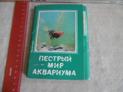 Лот: 19859129. Фото: 1. Набор цветных открыток "Пёстрый... Открытки, конверты