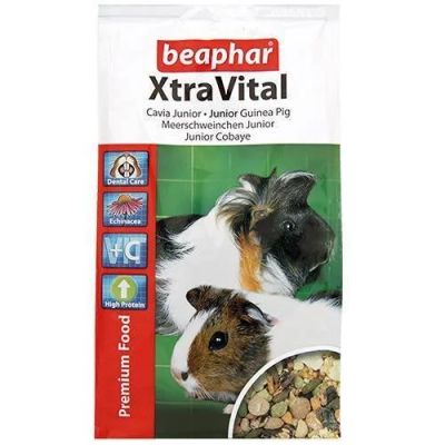 Лот: 11164610. Фото: 1. Корм Beaphar XtraVital для молодых... Корма