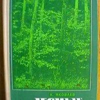 Лот: 18113758. Фото: 1. К. Яковлев "Лесные дива" - издание... Охота, рыбалка