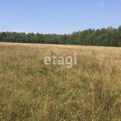 Лот: 25290546. Фото: 1. участок , Красноярск Красноярск... Земельные участки