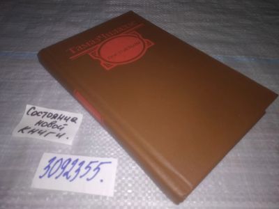 Лот: 25089889. Фото: 1. (3092355)Чиладзе Т. Постояльцы... Художественная