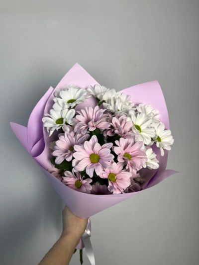 Лот: 25025887. Фото: 1. Букет из 3 хризантем. Свежие цветы
