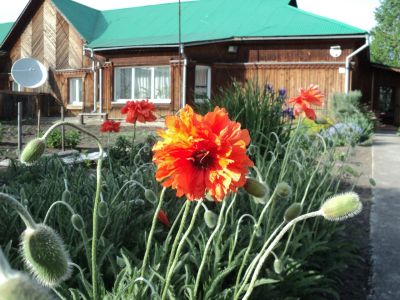 Лот: 3890515. Фото: 1. Продам дом. Дома