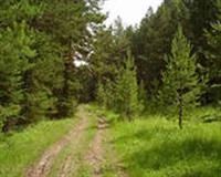 Лот: 3826939. Фото: 1. Земельный участок 15 сот. Земельные участки
