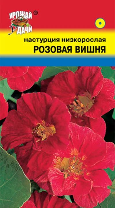 Лот: 12955630. Фото: 1. Семена настурции низкорослой махровой... Садовые цветы