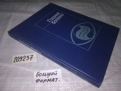 Лот: 21135640. Фото: 1. (209237) Бочкарева А.А., Ерошевский... Традиционная медицина