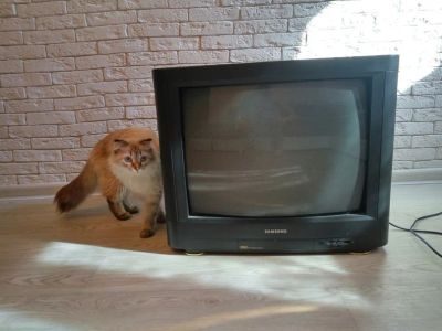 Лот: 7174783. Фото: 1. Телевизор Samsung. Телевизоры