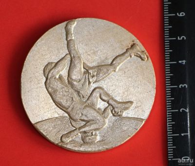 Лот: 10527386. Фото: 1. астольная медаль: Чемпионат Вольная... Сувенирные
