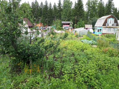 Лот: 11936005. Фото: 1. Продам дачу Рябинино. Дачи
