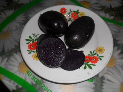 Лот: 10252232. Фото: 1. Картофель фиолетовый семена. Овощи