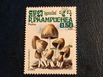 Лот: 25090062. Фото: 1. - Марки для Вашей коллекции. лот... Марки