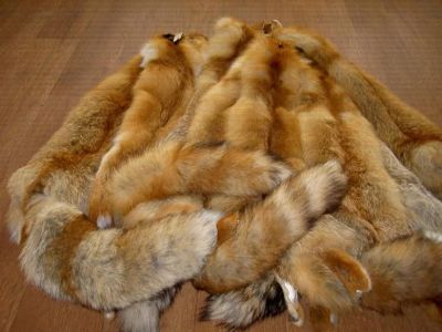 Лот: 3259672. Фото: 1. шкура рыжей лисы.У кого в избранном... Другое (одежда, обувь, галантерея)