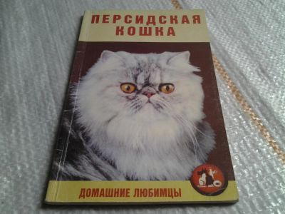 Лот: 5622098. Фото: 1. Персидская кошка, Авторы: Светлана... Домашние животные