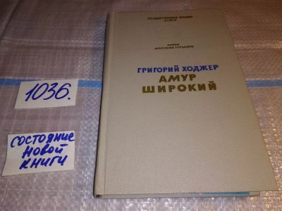 Лот: 15947749. Фото: 1. Ходжер Григорий, Амур широкий... Художественная