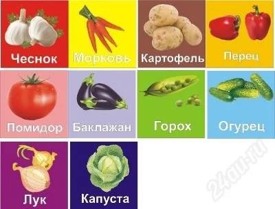Лот: 1704689. Фото: 1. Магниты развивайки "Овощи". Развивающие