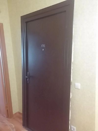 Лот: 9939827. Фото: 1. Хорошая входная дверь. Двери входные