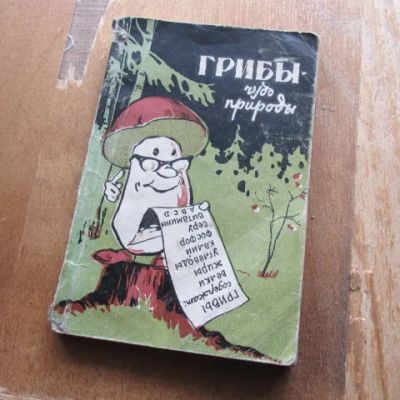 Лот: 25705178. Фото: 1. Книга Грибы чудо природы. Федяев... Другое (дом, сад, досуг)