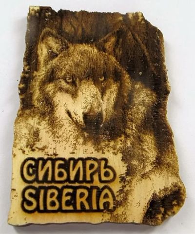 Лот: 10549396. Фото: 1. Кедр Магнит Сибирь волк 5 см х... Магниты сувенирные