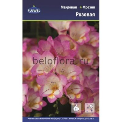 Лот: 15985281. Фото: 1. Фрезия махровая розовая Дабл Пинк... Садовые цветы