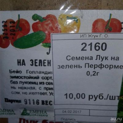 Лот: 9122944. Фото: 1. Семена / Лук / на зелень / Перформер... Овощи