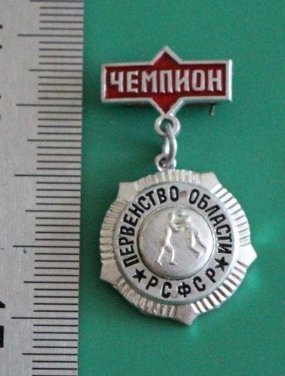 Лот: 11739520. Фото: 1. Значок: Чемпион. Первенство области... Сувенирные