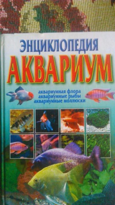 Лот: 6337071. Фото: 1. Книга аквариум. Книги для родителей