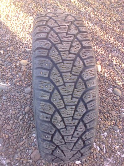 Лот: 6397842. Фото: 1. матадор шиповка 1 шт. Шины