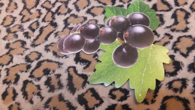 Лот: 4943105. Фото: 1. Открытка на двухстороннем скотче... Открытки, конверты
