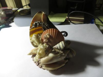 Лот: 8693533. Фото: 1. композиция из морских ракушек. Минералы и окаменелости