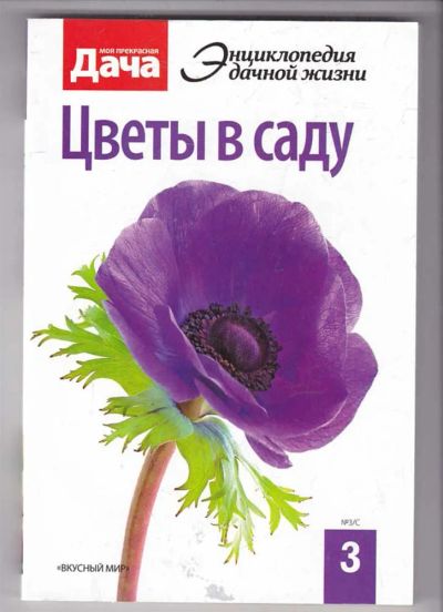 Лот: 23439813. Фото: 1. Цветы в саду. Сад, огород, цветы
