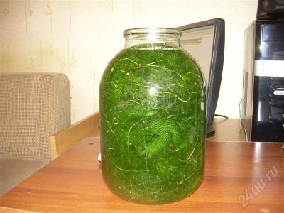 Лот: 508769. Фото: 1. роголистник. Водные растения